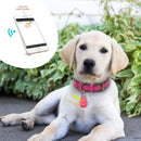 Super Rastreador GPS (PETRACKER-PLUS) - Coleira Para Cachorros - Gatos - Chaves - Bolsas - Mala - Criança