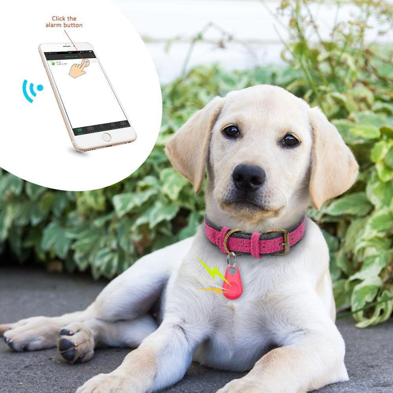 Super Rastreador GPS (PETRACKER-PLUS) - Coleira Para Cachorros - Gatos - Chaves - Bolsas - Mala - Criança